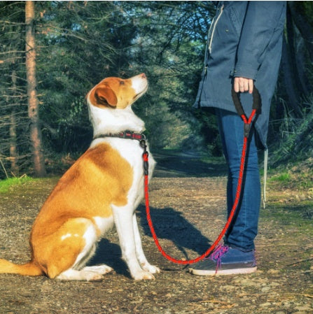 Reflective Nylon Dog Leash Rope for Walking and Training - Puppy Toy House