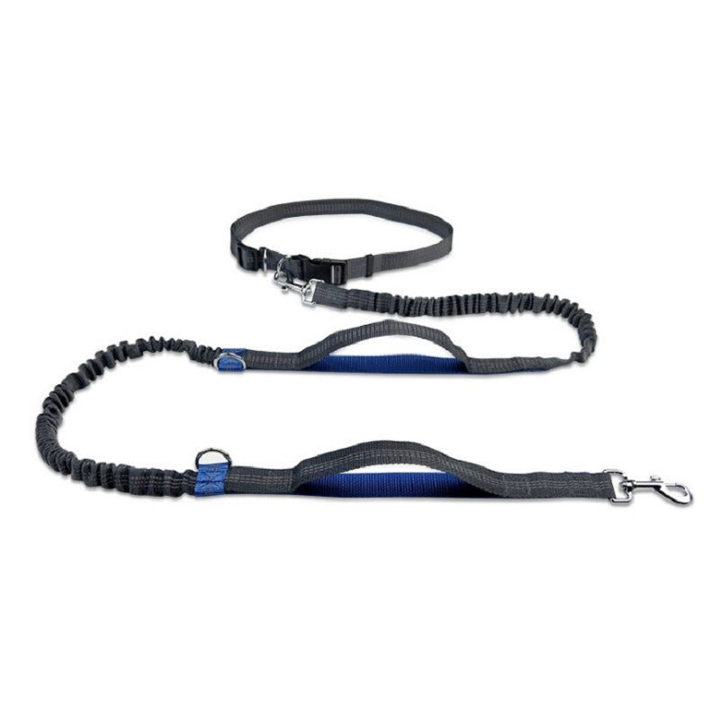 Multifunctional Pet Traction Rope for Walking, Training, and Control - Puppy Toy House