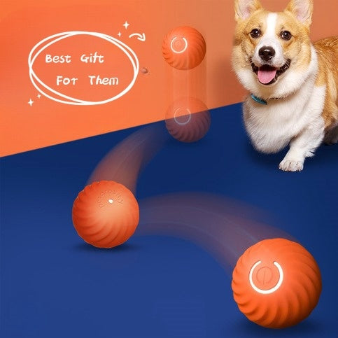 Durable Rubber Dog Chew Ball Toy for Training and Play - Puppy Toy House