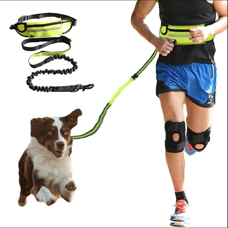 Hands-Free Dog Leash Belt with Bungee, Pocket, Bottle Holder - Puppy Toy House
