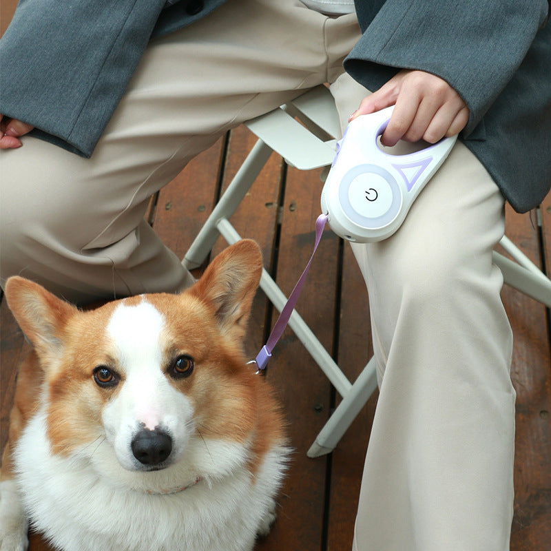Fantastic Dog Leash with Built-in Spotlight for Extra Safety - Puppy Toy House