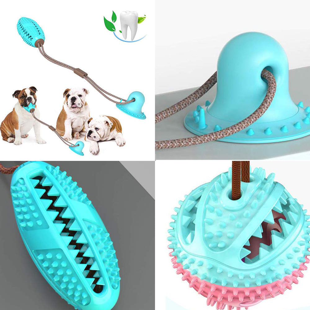 Interactive Suction Cup Dog Toy with Chew Ball and Toothbrush - Puppy Toy House