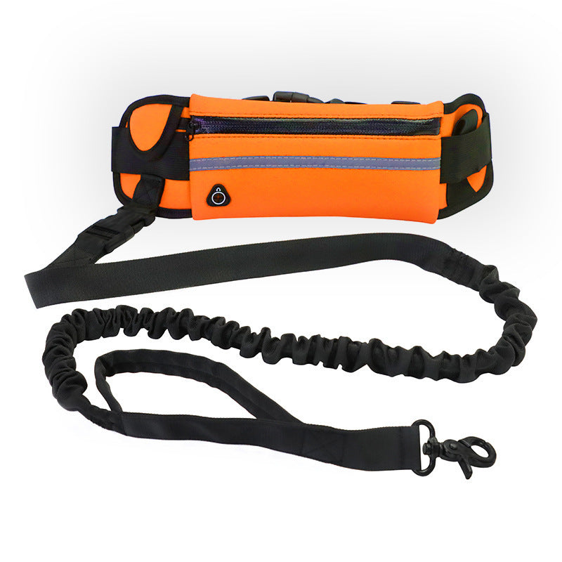 Hands-Free Dog Leash Belt with Bungee, Pocket, Bottle Holder - Puppy Toy House