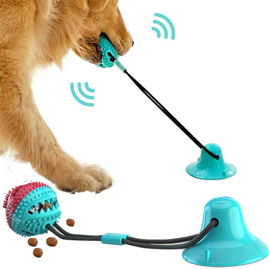 Interactive Suction Cup Dog Toy with Chew Ball and Toothbrush - Puppy Toy House